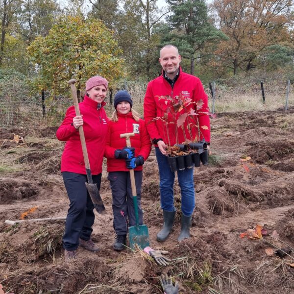 Baumpüflanzaktion Stadtmarketinggesellschaft Schutzgemeinschaft Deutscher Wald