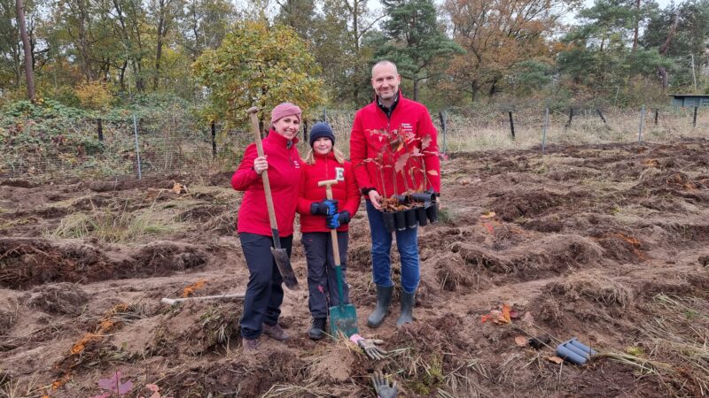 Baumpüflanzaktion Stadtmarketinggesellschaft Schutzgemeinschaft Deutscher Wald